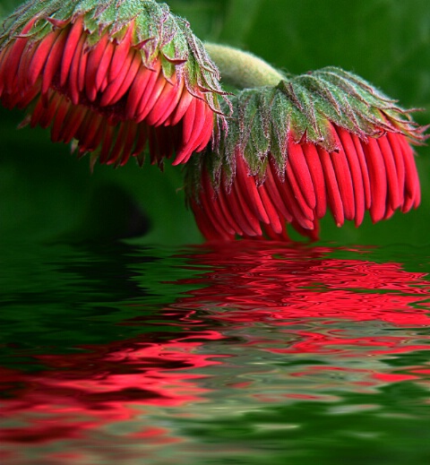 Testing The Water