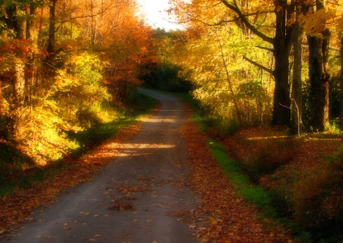 October Road