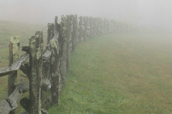 Fence in the Fog
