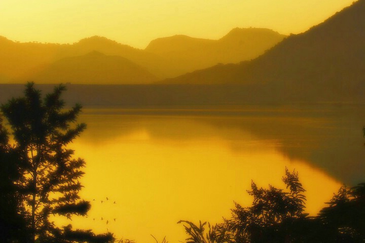 Golden Dream