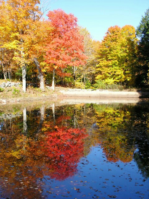 Colorful reflections in NH - ID: 4954938 © Jannalee Muise
