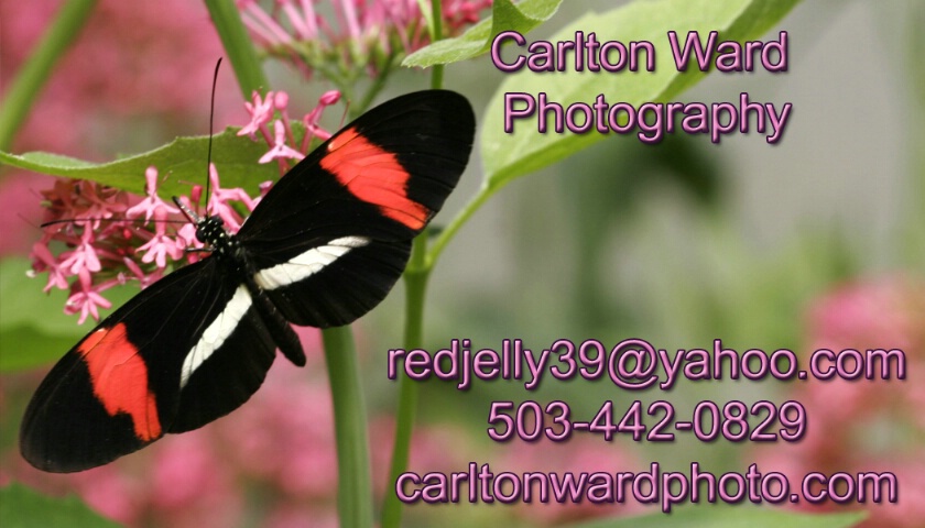 business card
