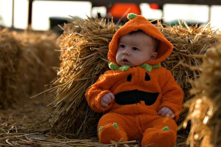 First trip to the pumpkin patch