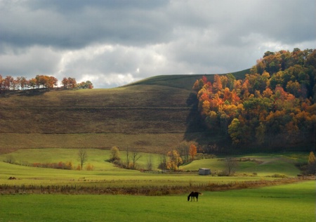 West Virginia Fall