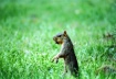 i um nut toking w...