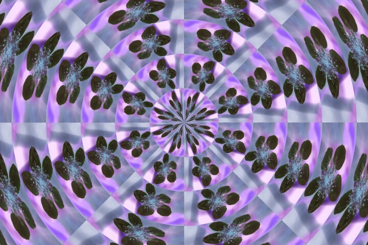 Kaleidoscope Photo Art Piece #15