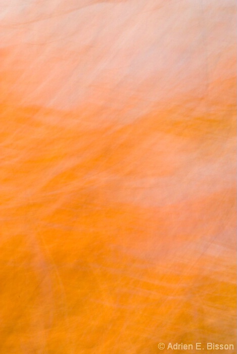 Autumn Abstract 5