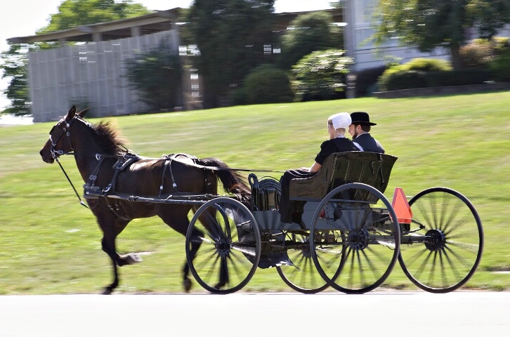 Amish  Kindred Spirit
