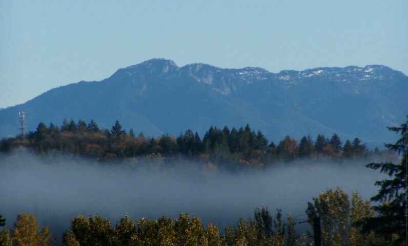 Fog Over The Valley