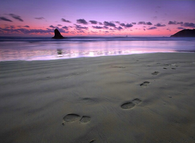 Beach Prints - ID: 4971136 © william (. Dodge