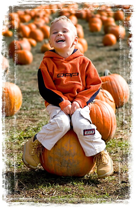 <b>Pumpkin Smiles</b>