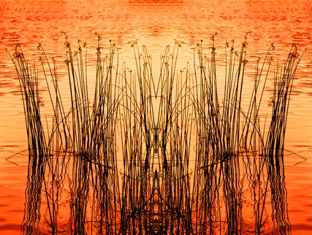 Flipped Grasses