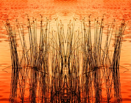 Flipped Grasses