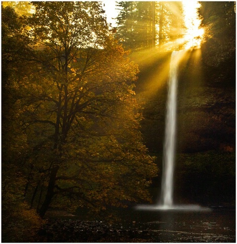 A Burst Of Hope - Silver Falls State Park