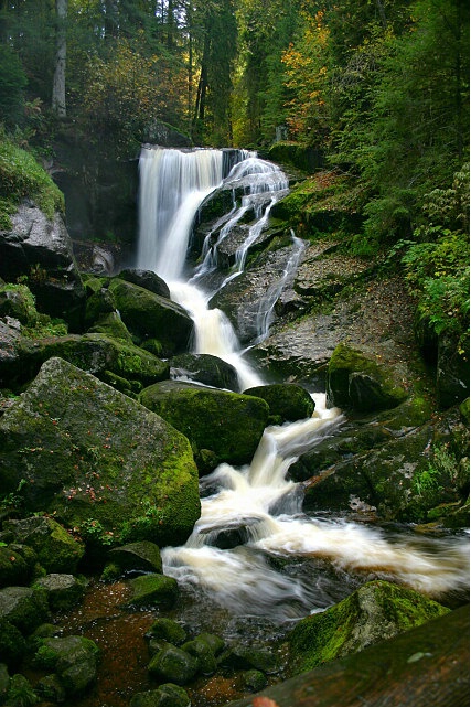 Black Forest Falls