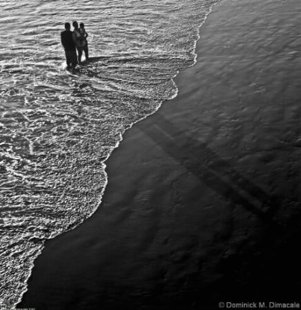 FAMILY'S LOVE