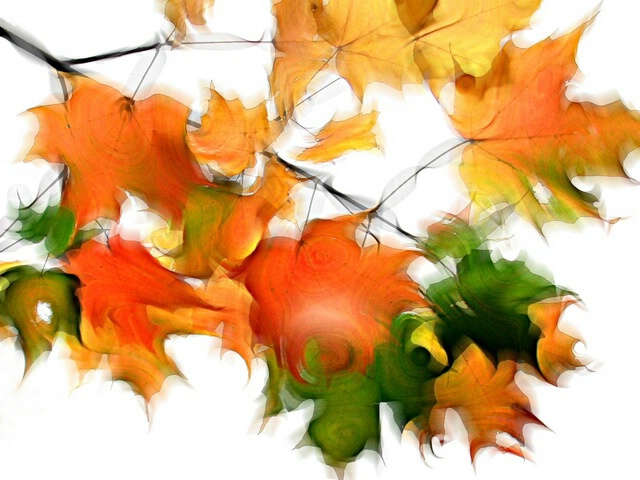 Swirl of Autumn Leaves