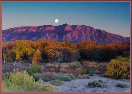 Hunters Moon over the Bosque