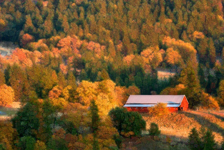 The Red Barn