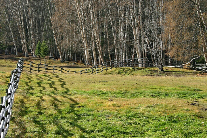 Fence Line