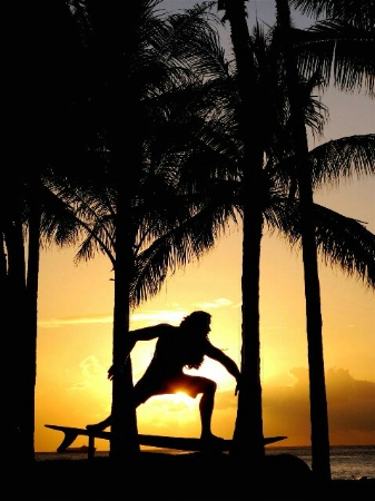 "surfs up" &  sunset