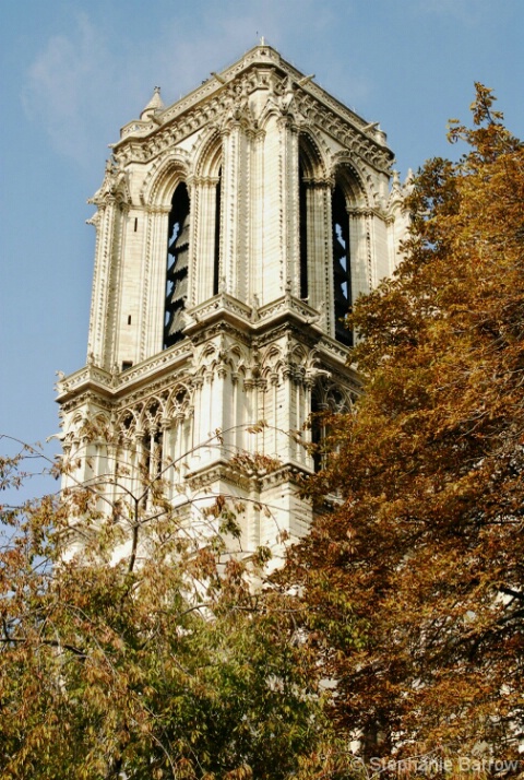 Notre Dame Tower