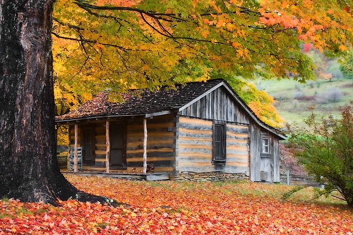 Countryside Cabin