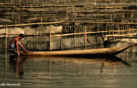 Fish cages