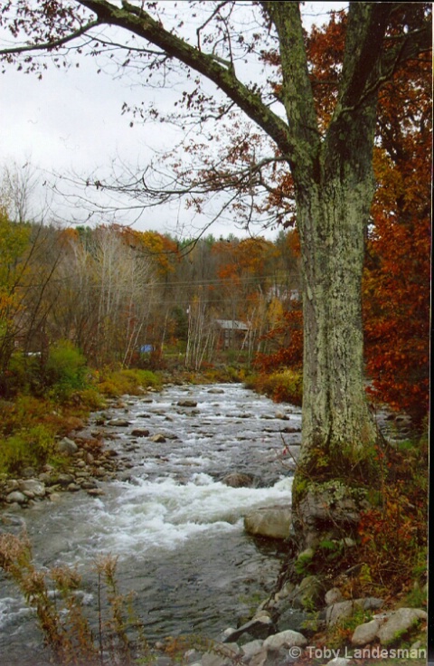 New England Autumn - ID: 5003069 © Toby Landesman