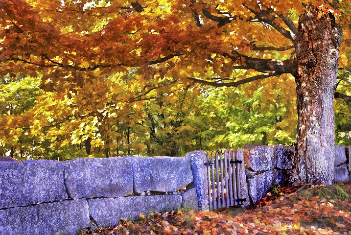 Autumn in NH - ID: 5008993 © Laurie Daily