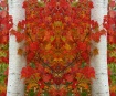 Leaf king