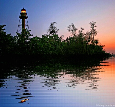Lighthouse in the Mangroves