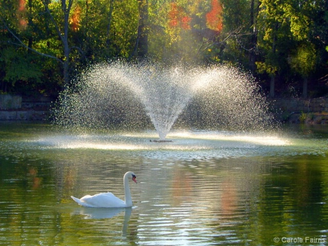 Fall on Swan Lake