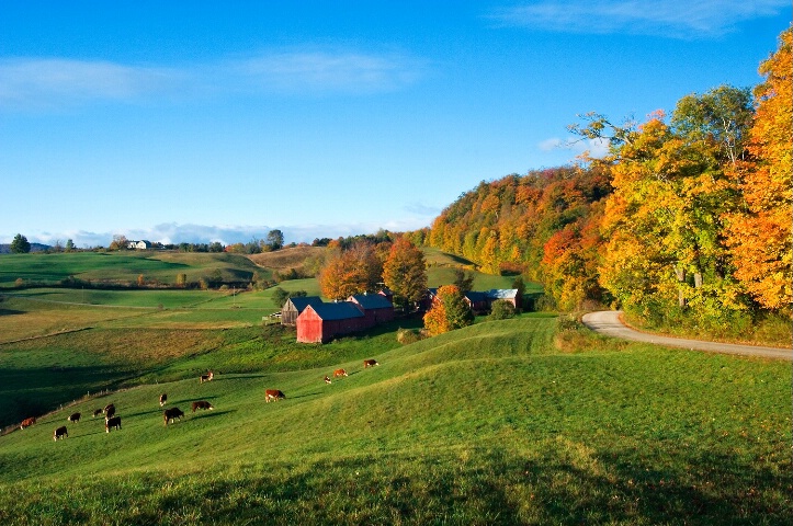 Jenne Farm in Fall