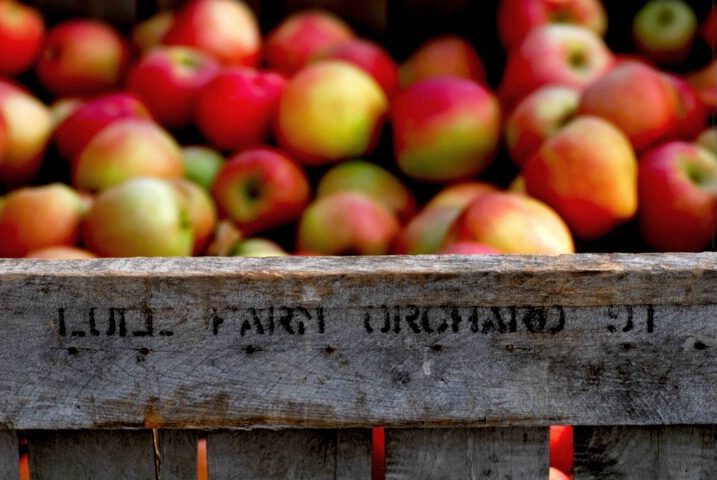 Lull Farm Apples