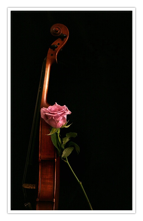 i ll be always there for you ....
