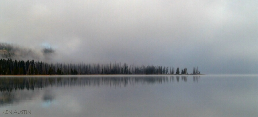 Foggy Morning in Yellowstone