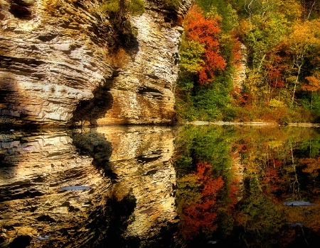 Fall Reflections