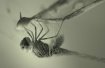 Favourite Macro