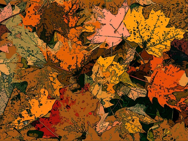 Autumn Abstract