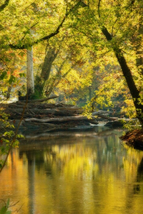 Just Off the Towpath