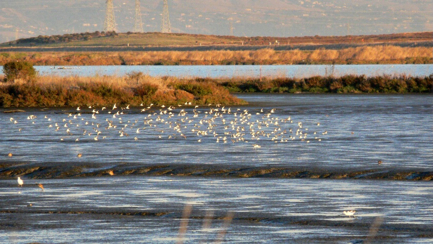 from Baylands to east