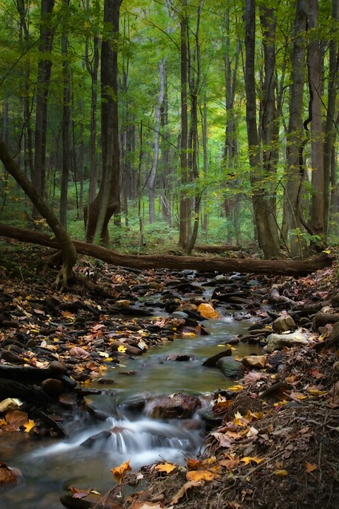 Rock Castle Creek