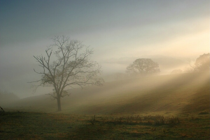" Foggy Sunrise "