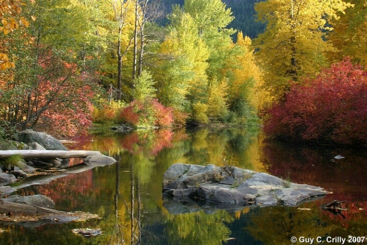 Fall Reflections