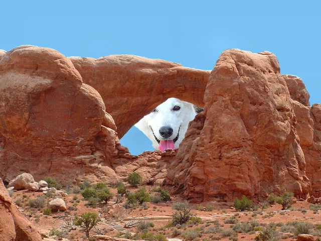Nicky Goes To Arches National Park