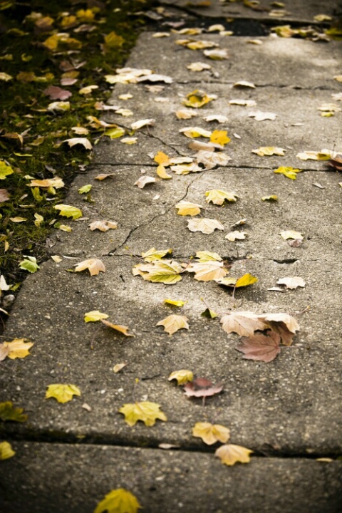 sidewalk paint