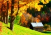 Enchanted Cabin