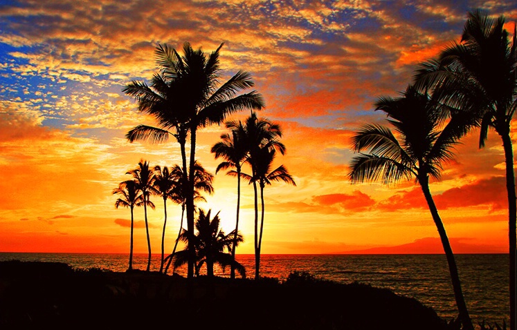 Tropical Sunset