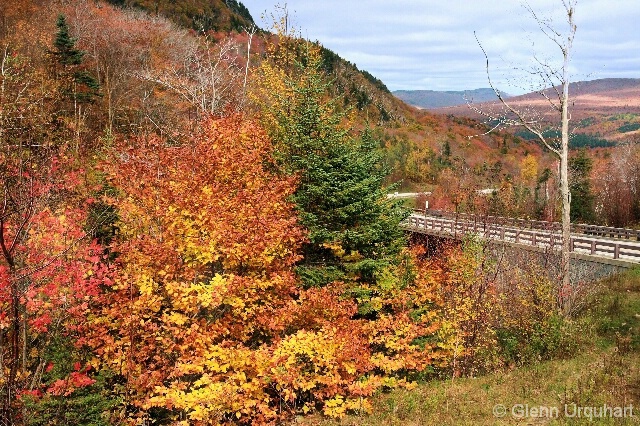 Color at Lost River Gorge